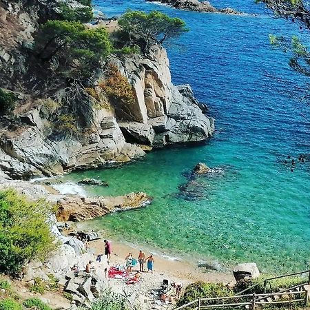 La Calma De Tossa Lejlighed Girona Eksteriør billede
