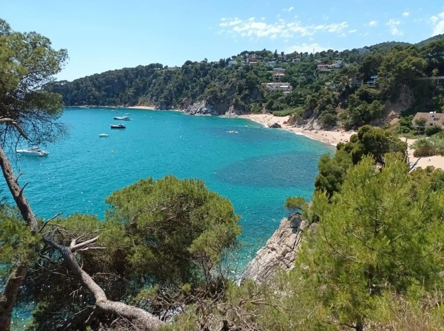 La Calma De Tossa Lejlighed Girona Eksteriør billede